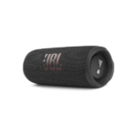 JBL Flip 6